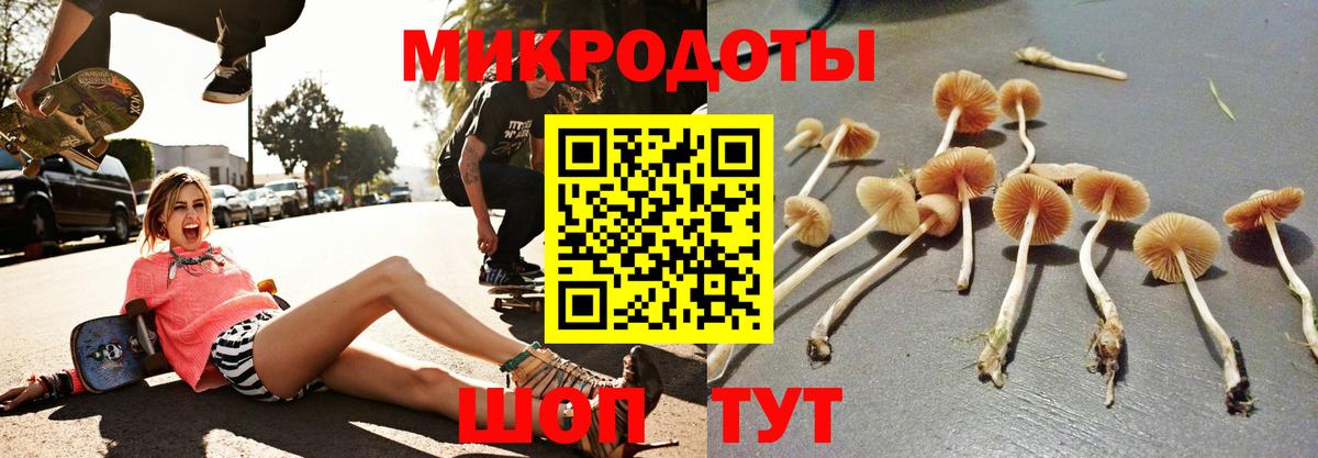 Псилоцибиновые грибы GOLDEN TEACHER Городец